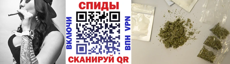 БУТИРАТ BDO  Кашин 