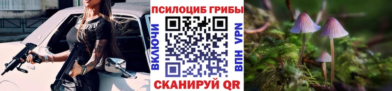 Псилоцибиновые грибы ЛСД  где купить наркоту  Кашин 