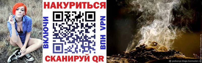 наркота  ОМГ ОМГ вход  Марихуана сатива  Кашин 